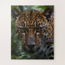 Search for jaguar puzzles Wild