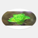 Search for irish oval stickers Patrick