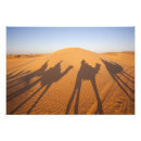 Search for tunisian art Walter bibikow