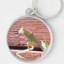 Search for mantids key rings Praying mantis