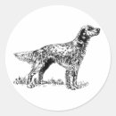 Search for english setter stickers Animal