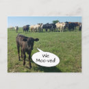 Search for we postcards New house