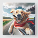 Search for car window art Pet