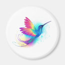 Search for hummingbirds magnets Exotic