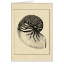 Search for vintage seashell postcards Shells