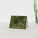 Search for alaska eagle cards Nature