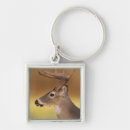 Search for white tail key rings Buck