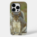 Search for squirrel iphone cases Wildlife