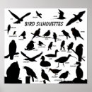 Search for bird silhouettes posters Wildlife