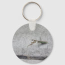 Search for mantis round key rings Praying