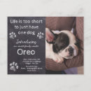 Search for new puppy announcement postcards For pets