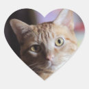 Search for penny stickers Cute