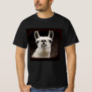Search for quirky clothing Sarcastic