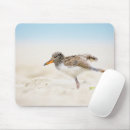 Search for beach babies electronics Animals in the wild