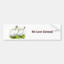 Search for guineas bumper stickers Animal