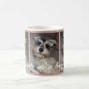 Search for miniature schnauzer puppy mugs Cute