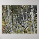 Search for fall winter art Forest