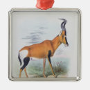 Search for wild animals christmas tree decorations Landscape
