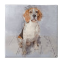 Search for hunting dog tiles Hound