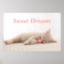 Search for british shorthair cat art Kitten