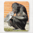 Search for chimps electronics Animals