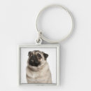 Search for look closely key rings Studio shot