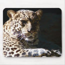 Search for leopard mousepads Tiger