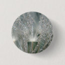 Search for droplets badges Nature