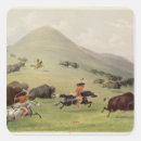 Search for indian buffalo stickers Native