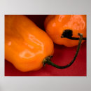 Search for habanero posters Pepper