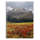 Search for canada notebooks Colour