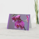 Search for phalaenopsis cards Orchids
