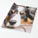 Search for collie wrapping paper Border collies