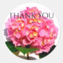 Search for hydrangea flowers stickers Elegant