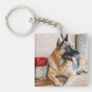 Search for german shepherd accessories Puppy