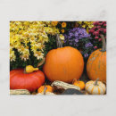 Search for display postcards Colourful