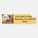 Search for golden retriever bumper stickers Pets