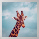 Search for giraffe portrait posters Wildlife
