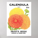 Search for calendula posters Vintage