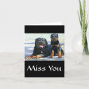 Search for rottweiler puppies cards Puppy