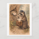 Search for racoon postcards Vintage