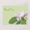 Search for birthday thank you postcards Bridal
