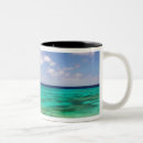 Search for turks and caicos islands mugs Environment