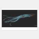 Search for squid stickers Octopus
