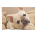 Search for french bulldog pillowcases Young animal