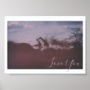 Search for habitat posters African