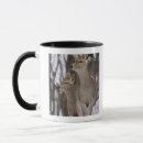 Search for hokkaido mugs Japan