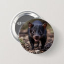 Search for carnivore badges Wildlife