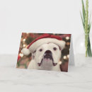 Search for hes cards Usa