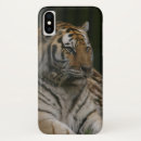 Search for endangered cases Siberian